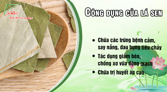 Những bài thuốc dân gian từ lá sen 